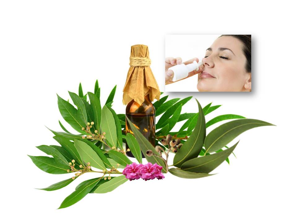 Effect of the Use of Intranasal Spray of Essential Oils in Patients